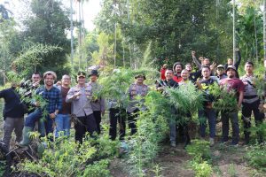 IMG-20230330-WA0050(1)