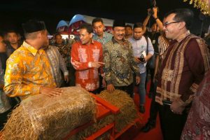 IMG-20230531-WA0000-1