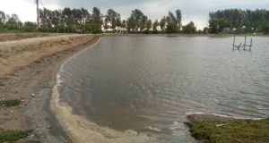 5eba74ff-aaeb-4210-9b84-d9fa2d692161