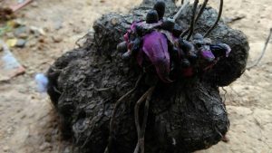 o1AJ9qDyyJNSpZWhUgGYc3MngFqoAMeiLGuRiTaVt9uggHAX8