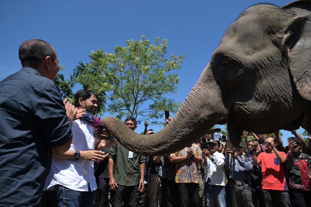 d1a65b64-62e4-4818-a038-c4daccf66605