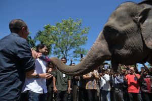 d1a65b64-62e4-4818-a038-c4daccf66605