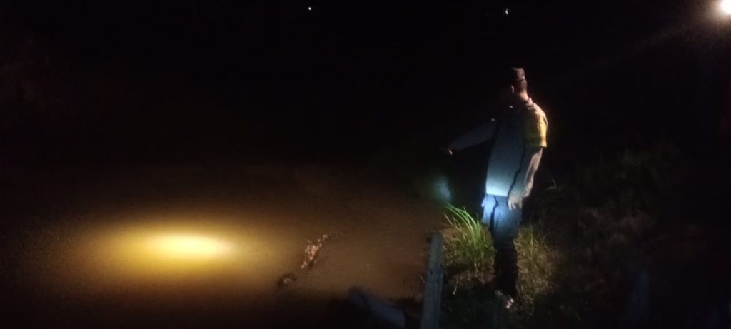 1810d34a-f0b6-4e75-af50-85c939a93330